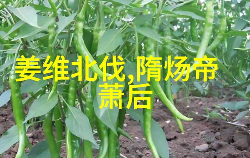 隋炀帝是怎样的人隋朝开国皇帝隋文帝真的怕老婆
